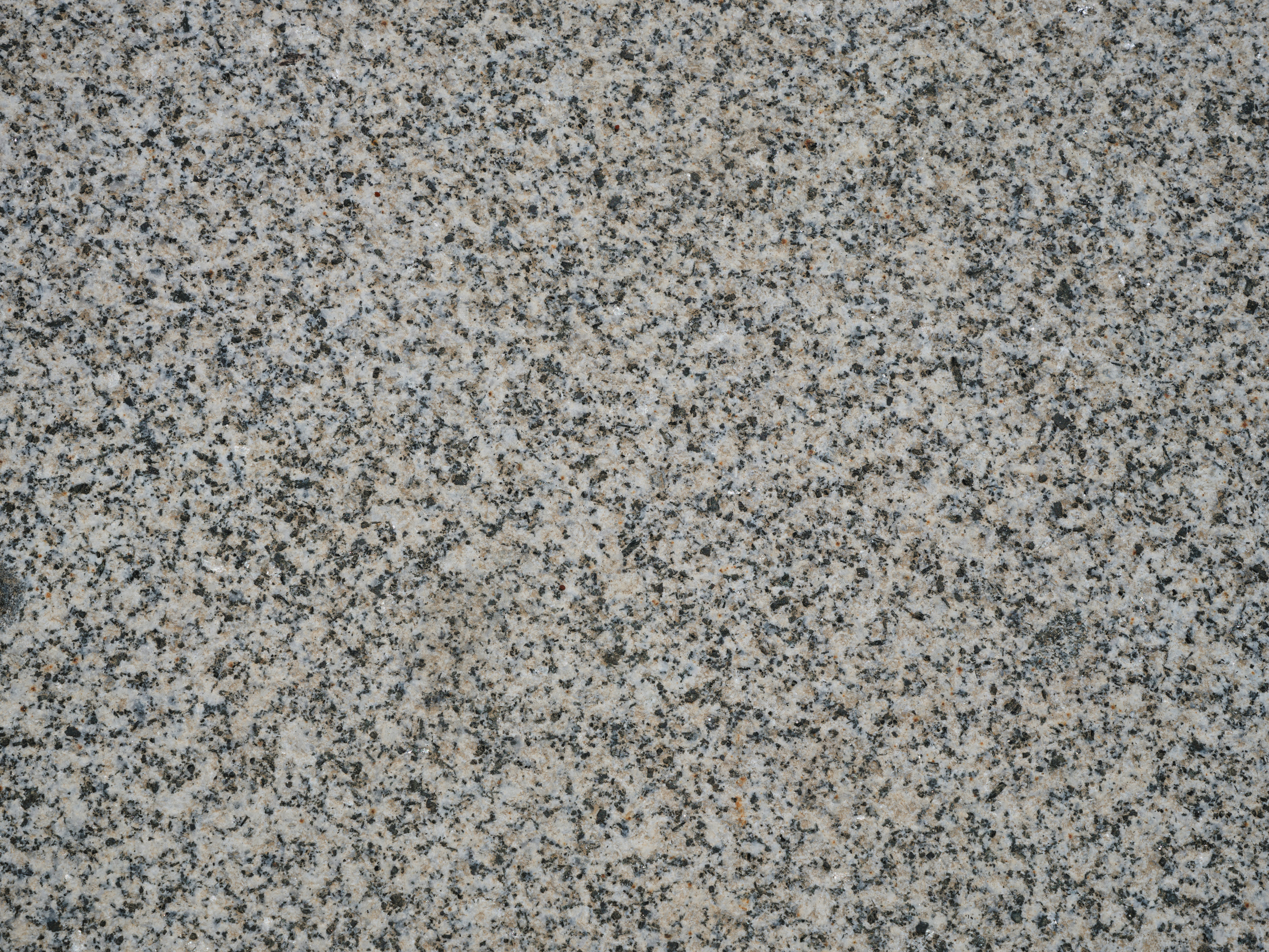 Speckled granite flake epoxy garage floor texture